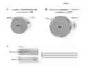 Fig. 09 - MOLECULAR MODULATORS OF THE WNT/BETA-CATENIN PATHWAY