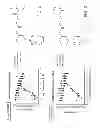 Fig. 03 - Identification of compounds that disperse TDP-43 inclusions