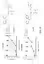 Fig. 08 - Identification of compounds that disperse TDP-43 inclusions