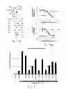 Fig. 09 - Identification of compounds that disperse TDP-43 inclusions