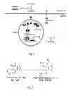 Fig. 02 - Acetyltanshinone IIA (ATA) as anticancer agent