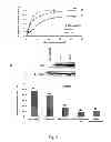 Fig. 03 - Acetyltanshinone IIA (ATA) as anticancer agent