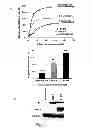 Fig. 09 - Acetyltanshinone IIA (ATA) as anticancer agent