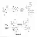 Fig. 04 - Pyrazol-4-yl-heterocyclyl-carboxamide compounds and methods of use