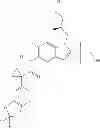 Fig. 367 - Modulators of ATP-binding cassette transporters