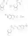 Fig. 731 - Modulators of ATP-binding cassette transporters
