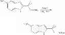 Fig. 746 - Modulators of ATP-binding cassette transporters