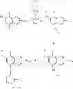 Fig. 30 - Methods for inhibiting fascin