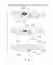 Fig. 07 - ENHANCED BIODISTRIBUTION OF OLIGOMERS