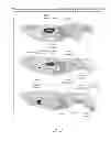 Fig. 11 - ENHANCED BIODISTRIBUTION OF OLIGOMERS