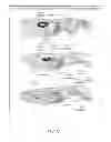 Fig. 12 - ENHANCED BIODISTRIBUTION OF OLIGOMERS