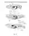 Fig. 13 - ENHANCED BIODISTRIBUTION OF OLIGOMERS