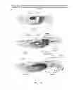 Fig. 16 - ENHANCED BIODISTRIBUTION OF OLIGOMERS