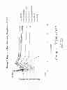 Fig. 23 - ENHANCED BIODISTRIBUTION OF OLIGOMERS