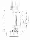 Fig. 25 - ENHANCED BIODISTRIBUTION OF OLIGOMERS