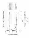 Fig. 27 - ENHANCED BIODISTRIBUTION OF OLIGOMERS