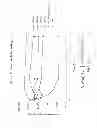Fig. 30 - ENHANCED BIODISTRIBUTION OF OLIGOMERS