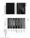 Fig. 08 - IDENTIFICATION OF SMALL MOLECULES THAT FACILITATE THERAPEUTIC EXON SKIPPING