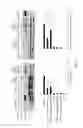 Fig. 10 - IDENTIFICATION OF SMALL MOLECULES THAT FACILITATE THERAPEUTIC EXON SKIPPING