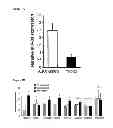 Fig. 02 - MiR-33 inhibitors and uses thereof to decrease inflammation