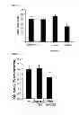 Fig. 06 - MiR-33 inhibitors and uses thereof to decrease inflammation