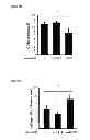 Fig. 07 - MiR-33 inhibitors and uses thereof to decrease inflammation