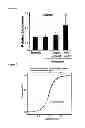 Fig. 08 - MiR-33 inhibitors and uses thereof to decrease inflammation