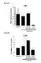 Fig. 09 - MiR-33 inhibitors and uses thereof to decrease inflammation