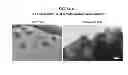 Fig. 14 - NANOPARTICLE FORMULATIONS AND USES THEREOF
