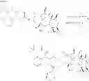 Fig. 24 - NANOPARTICLE FORMULATIONS AND USES THEREOF