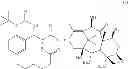 Fig. 28 - NANOPARTICLE FORMULATIONS AND USES THEREOF