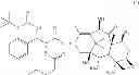 Fig. 30 - NANOPARTICLE FORMULATIONS AND USES THEREOF