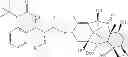 Fig. 35 - NANOPARTICLE FORMULATIONS AND USES THEREOF