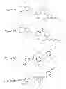 Fig. 08 - Cinnamic acid-based oligomers and uses thereof