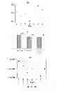 Fig. 04 - Polymer nanocomposites for electronic applications
