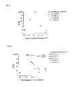 Fig. 06 - Hydrogel-forming composition and hydrogel produced from the same