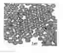 Fig. 01 - Process of heat treating structured polymer particles