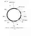 Fig. 196 - Polymerization of isoprene from renewable resources