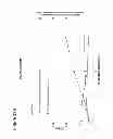 Fig. 57 - Polymerization of isoprene from renewable resources