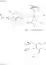 Fig. 24 - HIGHLY ACTIVE METATHESIS CATALYSTS SELECTIVE FOR ROMP AND RCM REACTIONS