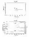 Fig. 10 - Charge control resin and manufacturing method of the same