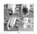 Fig. 08 - Process For Preparing Polymeric Fibers Comprising Thermotropic Liquid Crystalline Polymer And Carbon Nanotubes