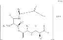 Fig. 35 - Processes for the manufacture of macrocyclic depsipeptides and new intermediates