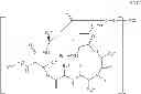 Fig. 46 - Processes for the manufacture of macrocyclic depsipeptides and new intermediates