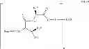 Fig. 65 - Processes for the manufacture of macrocyclic depsipeptides and new intermediates