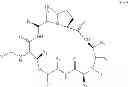 Fig. 76 - Processes for the manufacture of macrocyclic depsipeptides and new intermediates