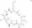 Fig. 96 - Processes for the manufacture of macrocyclic depsipeptides and new intermediates