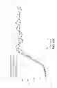 Fig. 11 - METHODS AND COMPOSITIONS FOR PREVENTING NORLEUCINE MISINCORPORATION INTO PROTEINS