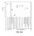 Fig. 17 - METHODS AND COMPOSITIONS FOR PREVENTING NORLEUCINE MISINCORPORATION INTO PROTEINS