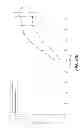 Fig. 24 - METHODS AND COMPOSITIONS FOR PREVENTING NORLEUCINE MISINCORPORATION INTO PROTEINS